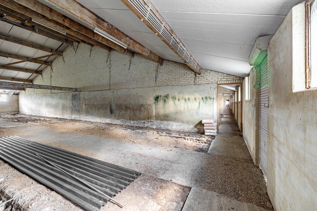 Foto 41 van Oostering 48