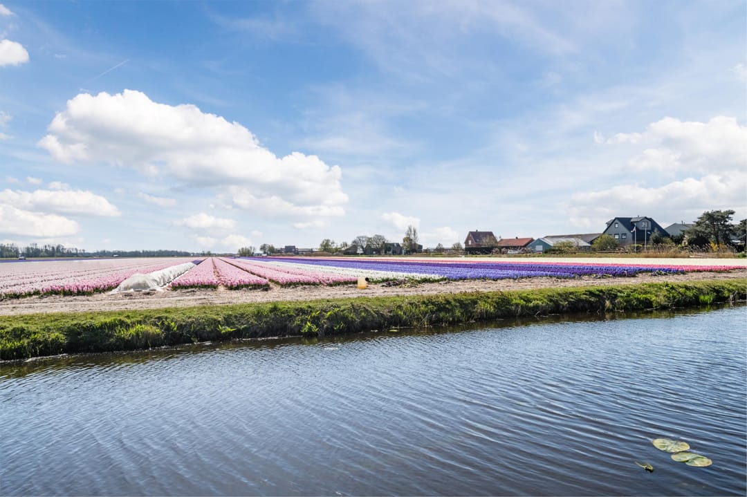 Foto 53 van Schelpvisserlaan 3