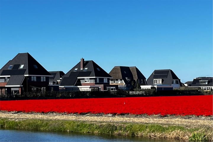 Foto 55 van Schelpvisserlaan 3