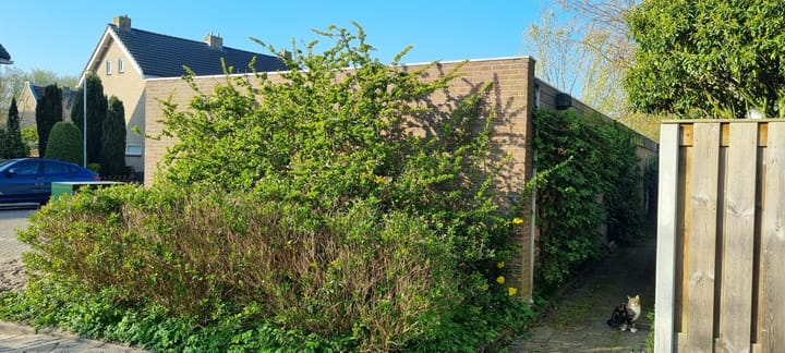 Foto 5 van Binnenweeren 35