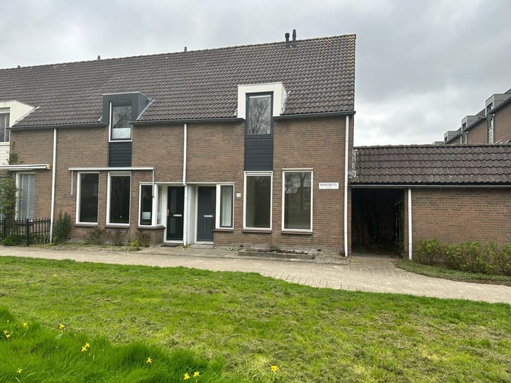 Brandnetel 15