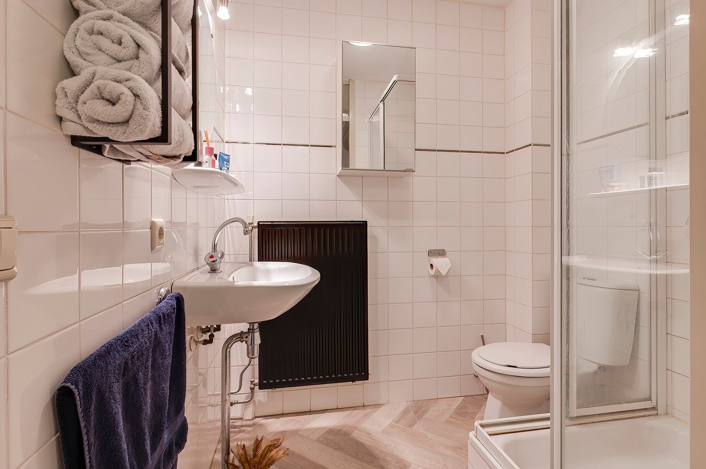 Foto 14 van A.H.H. Tolhuisenstraat 13