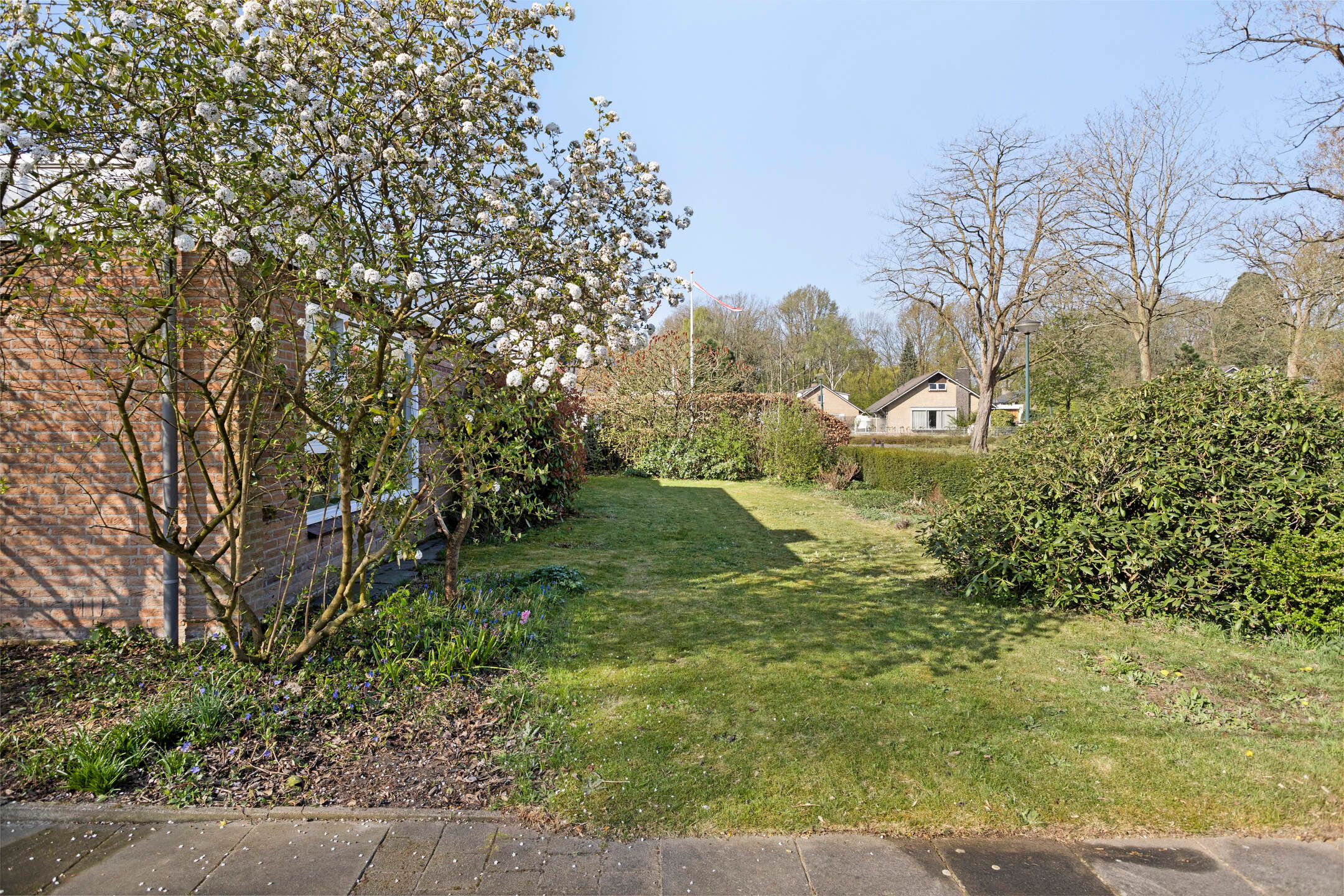 Foto 36 van Kruizemuntlaan 22