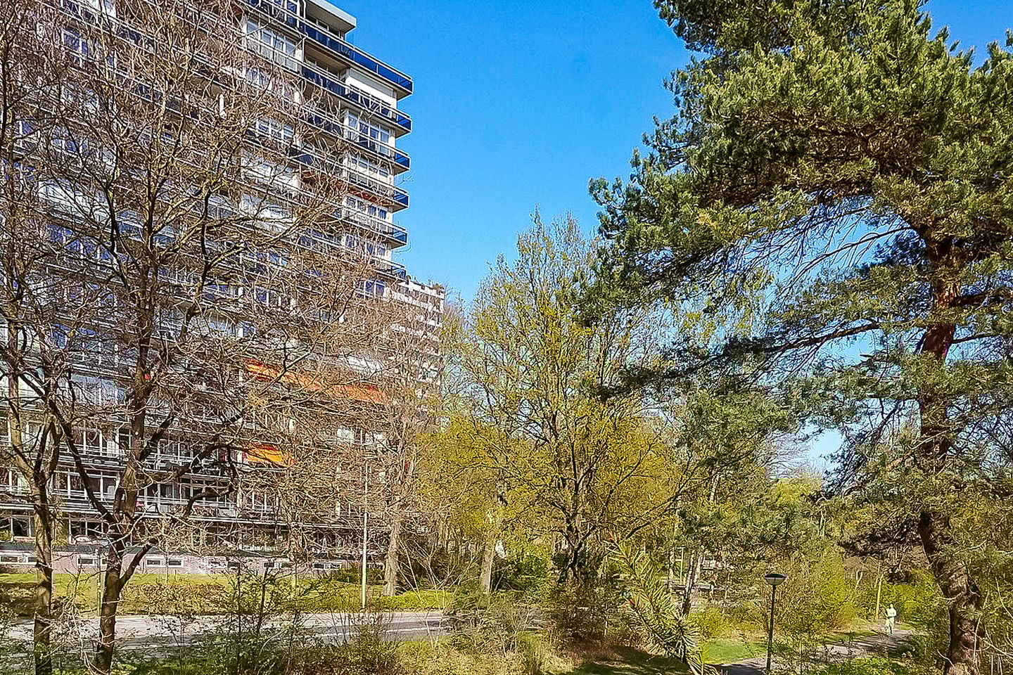 Foto 4 van Laan van Vollenhove 2221