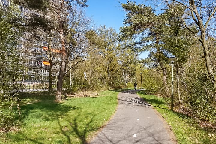 Foto 5 van Laan van Vollenhove 2221