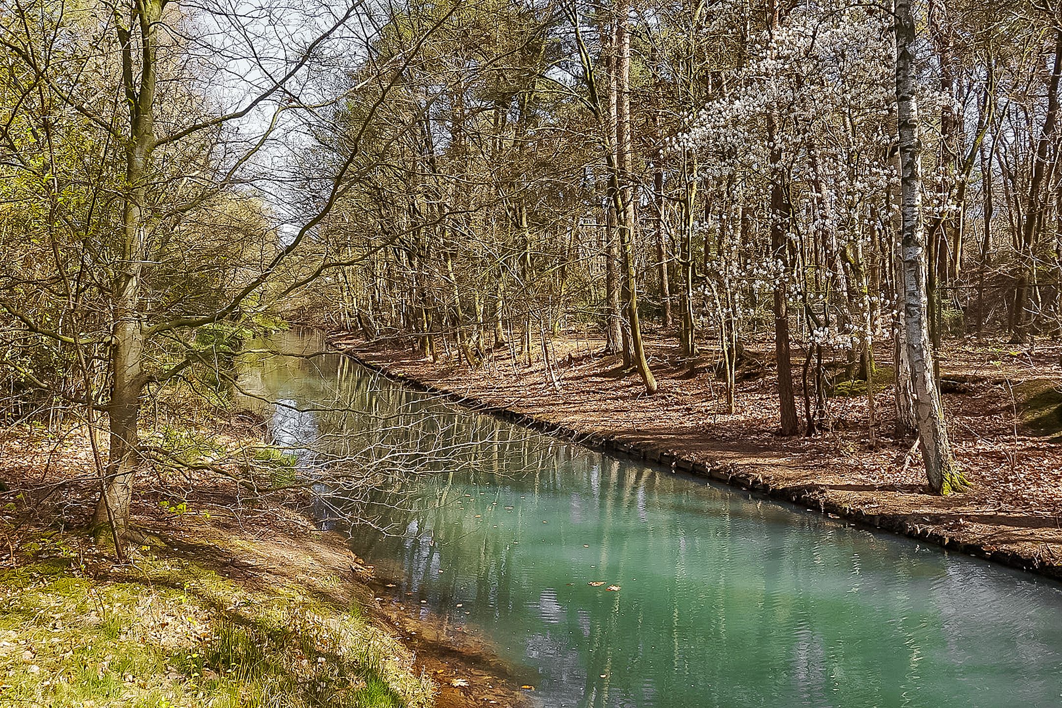 Foto 6 van Laan van Vollenhove 2221