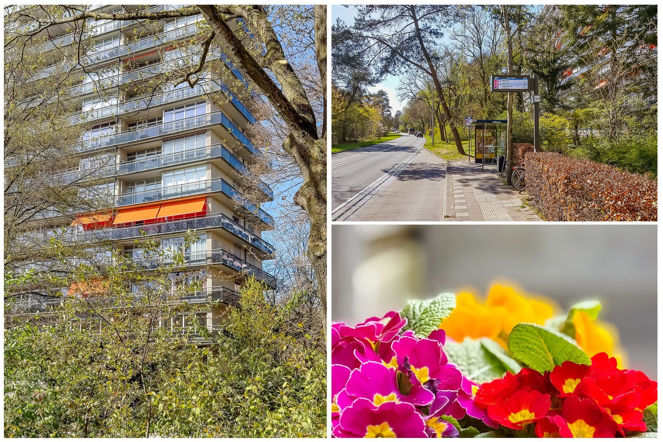 Foto 9 van Laan van Vollenhove 2221