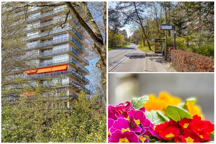 Foto 9 van Laan van Vollenhove 2221