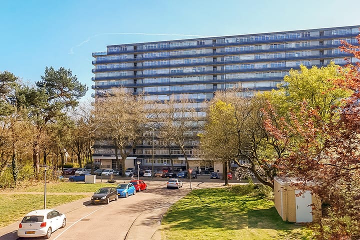 Foto 10 van Laan van Vollenhove 2221