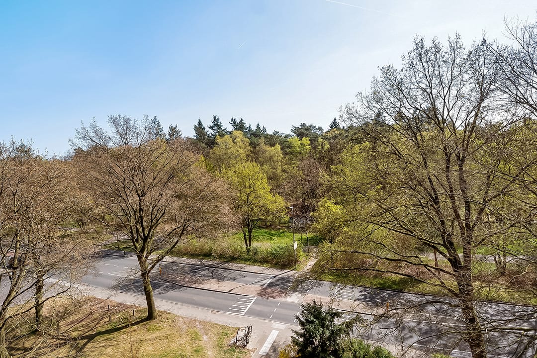 Foto 23 van Laan van Vollenhove 2221