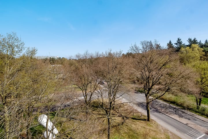 Foto 24 van Laan van Vollenhove 2221