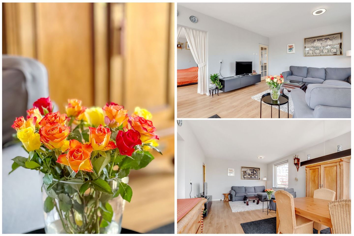 Foto 25 van Laan van Vollenhove 2221