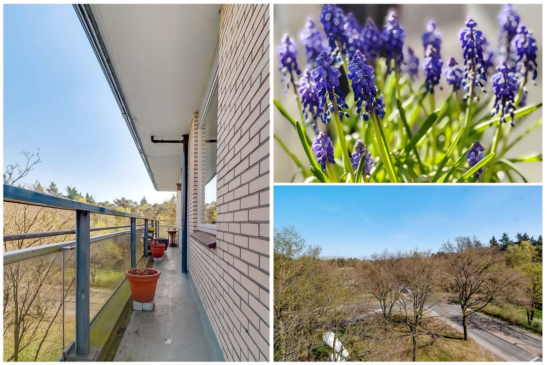 Foto 28 van Laan van Vollenhove 2221