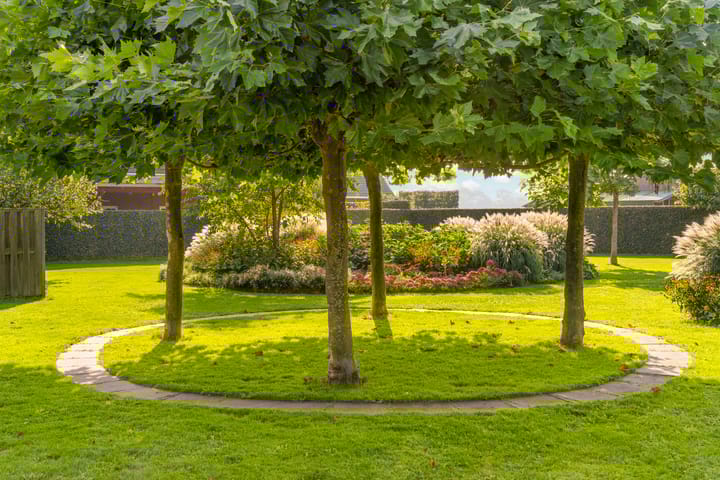 Foto 26 van Lage Ham 119