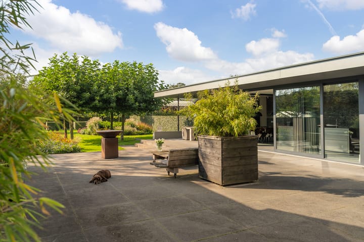 Foto 32 van Lage Ham 119