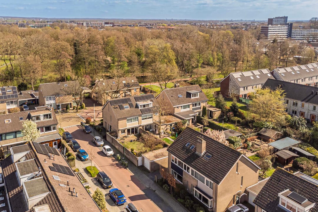 Foto 43 van Dissel 40