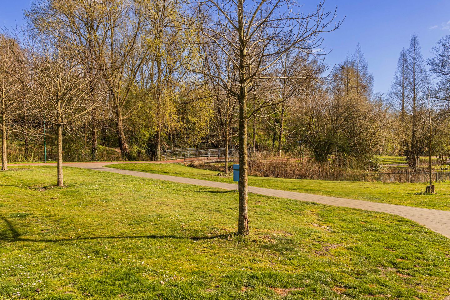 Foto 44 van Dissel 40