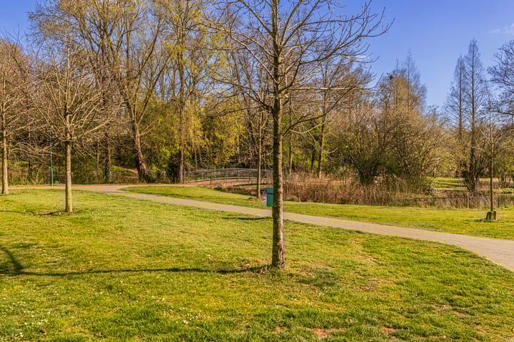 Foto 44 van Dissel 40