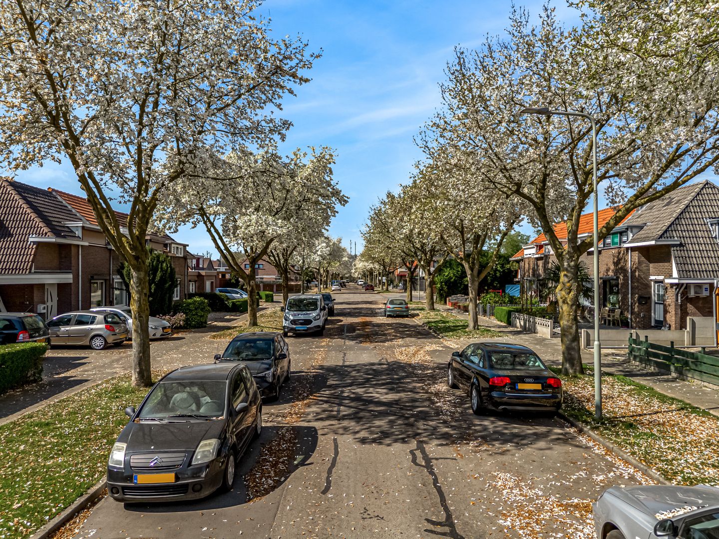 Foto 4 van Tulpenlaan 18