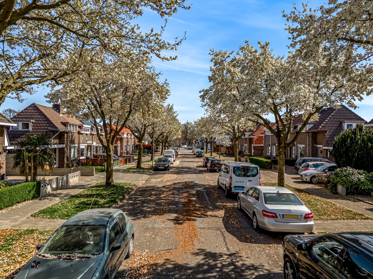 Foto 5 van Tulpenlaan 18