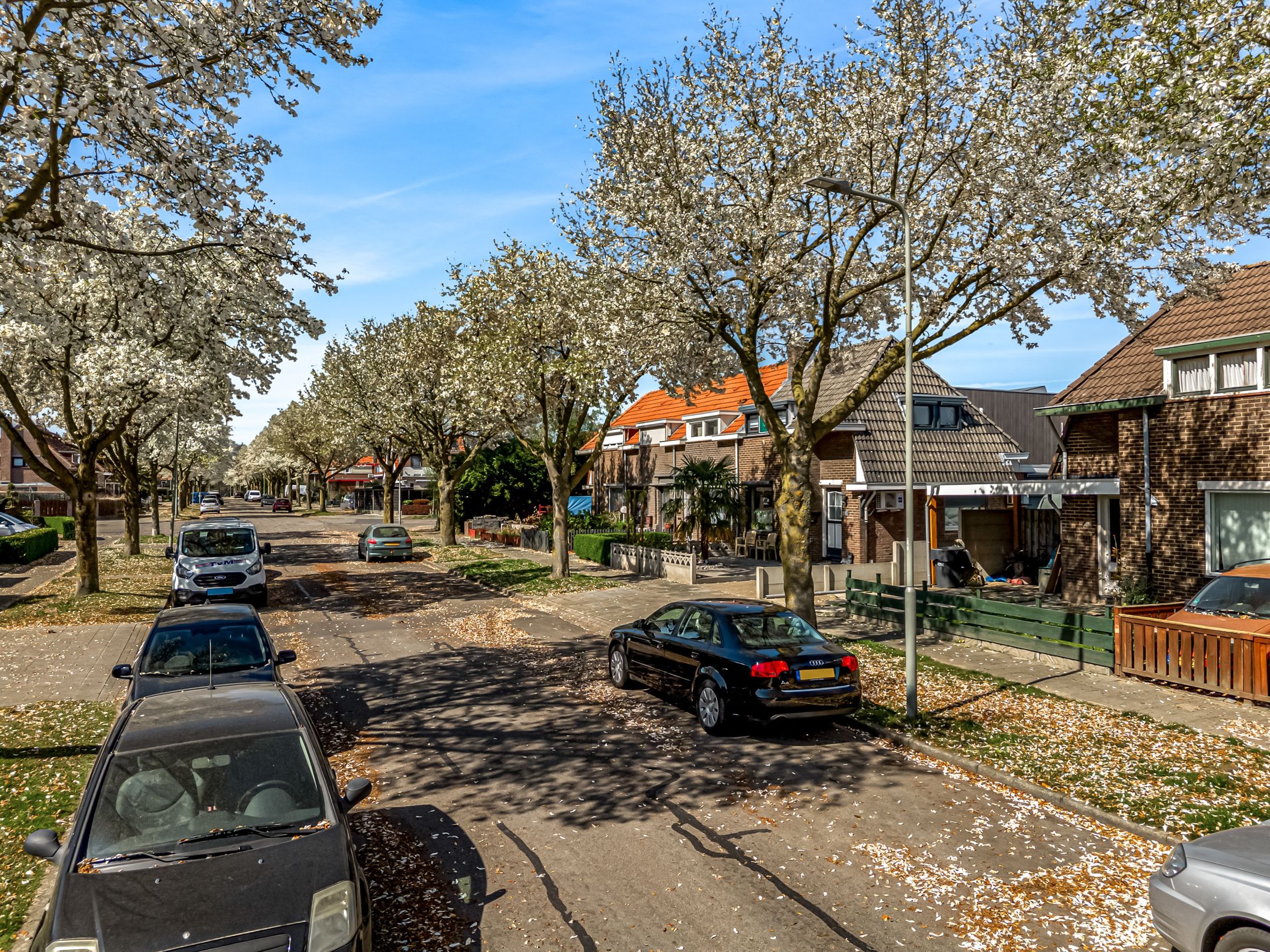 Foto 6 van Tulpenlaan 18