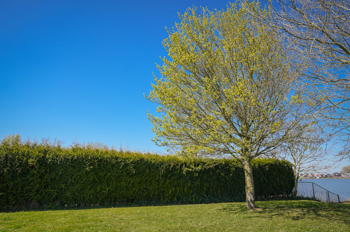 Foto 9 van Maasdijk E 3075