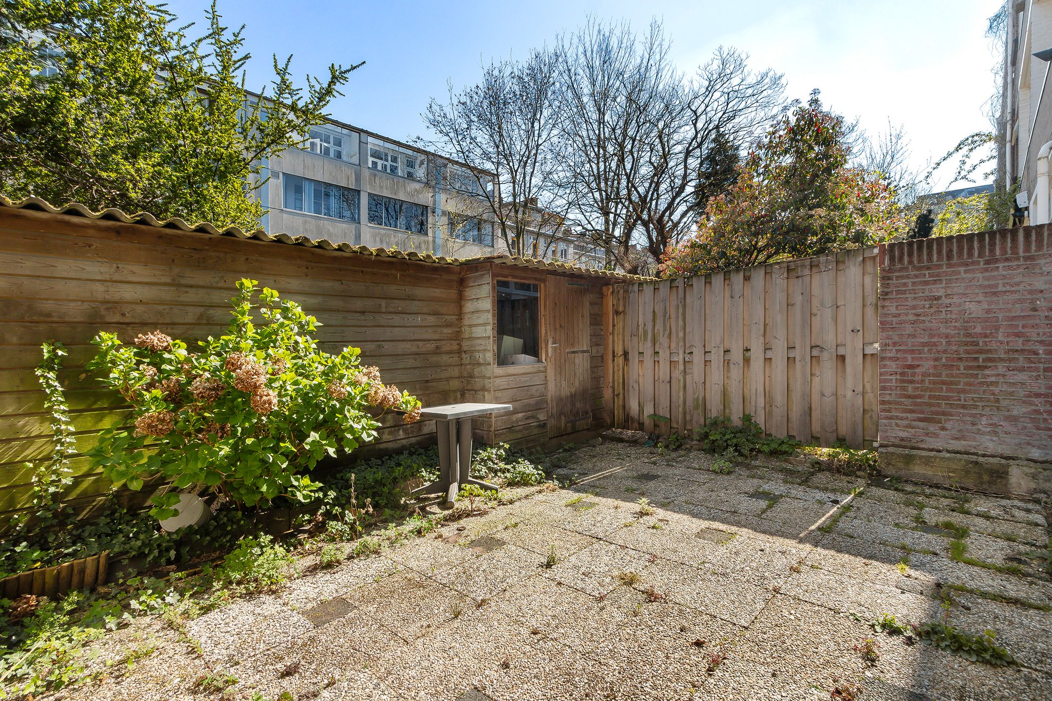 Photo 24 of Libellenstraat 10-A