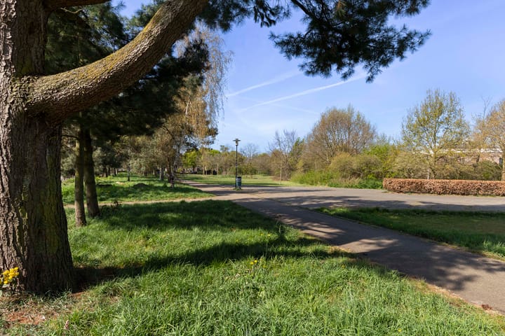 Foto 27 van Maanstraat 51