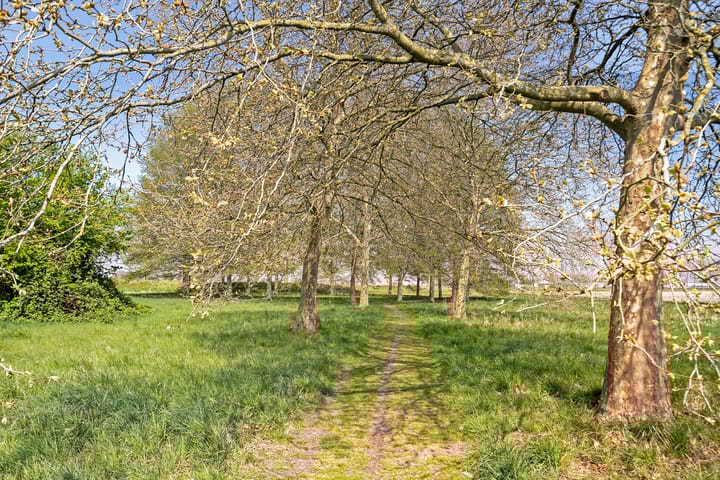 Foto 28 van Aendijkestraat 44