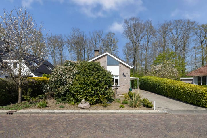 Foto 10 van Stuwwal 9