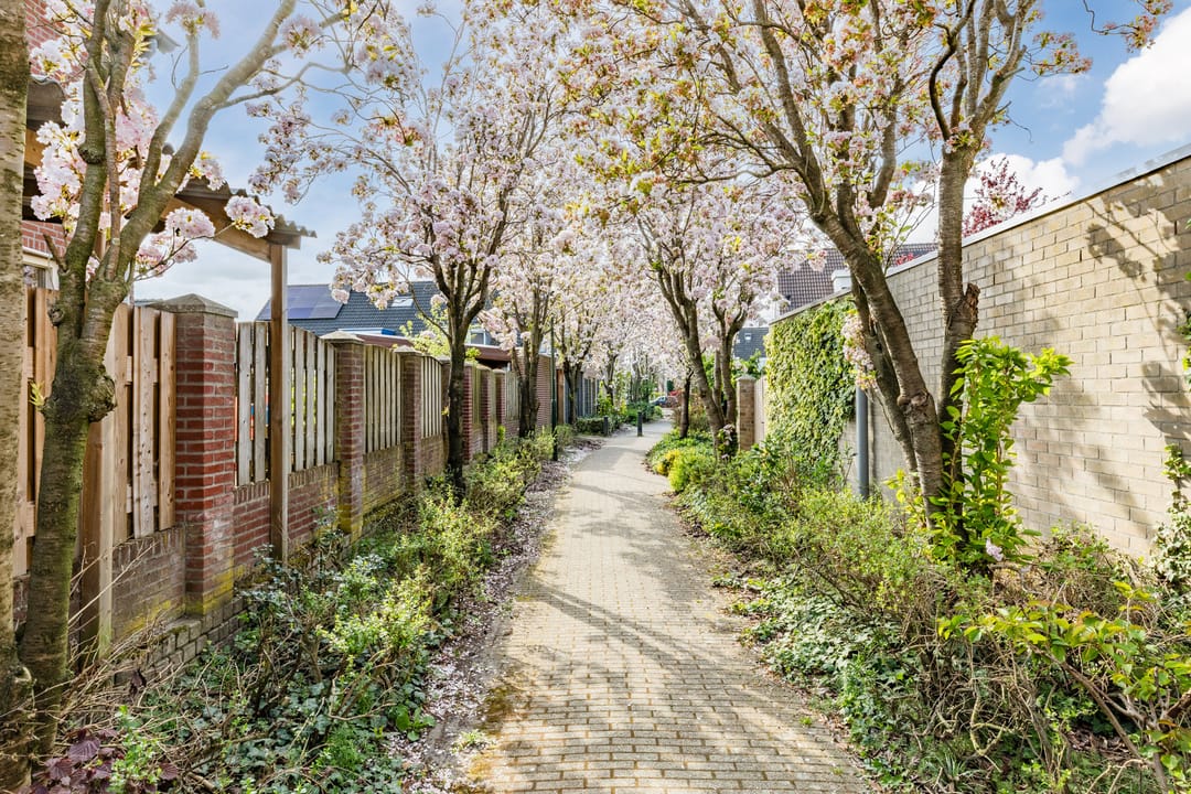 Foto 52 van Peelkesakker 6