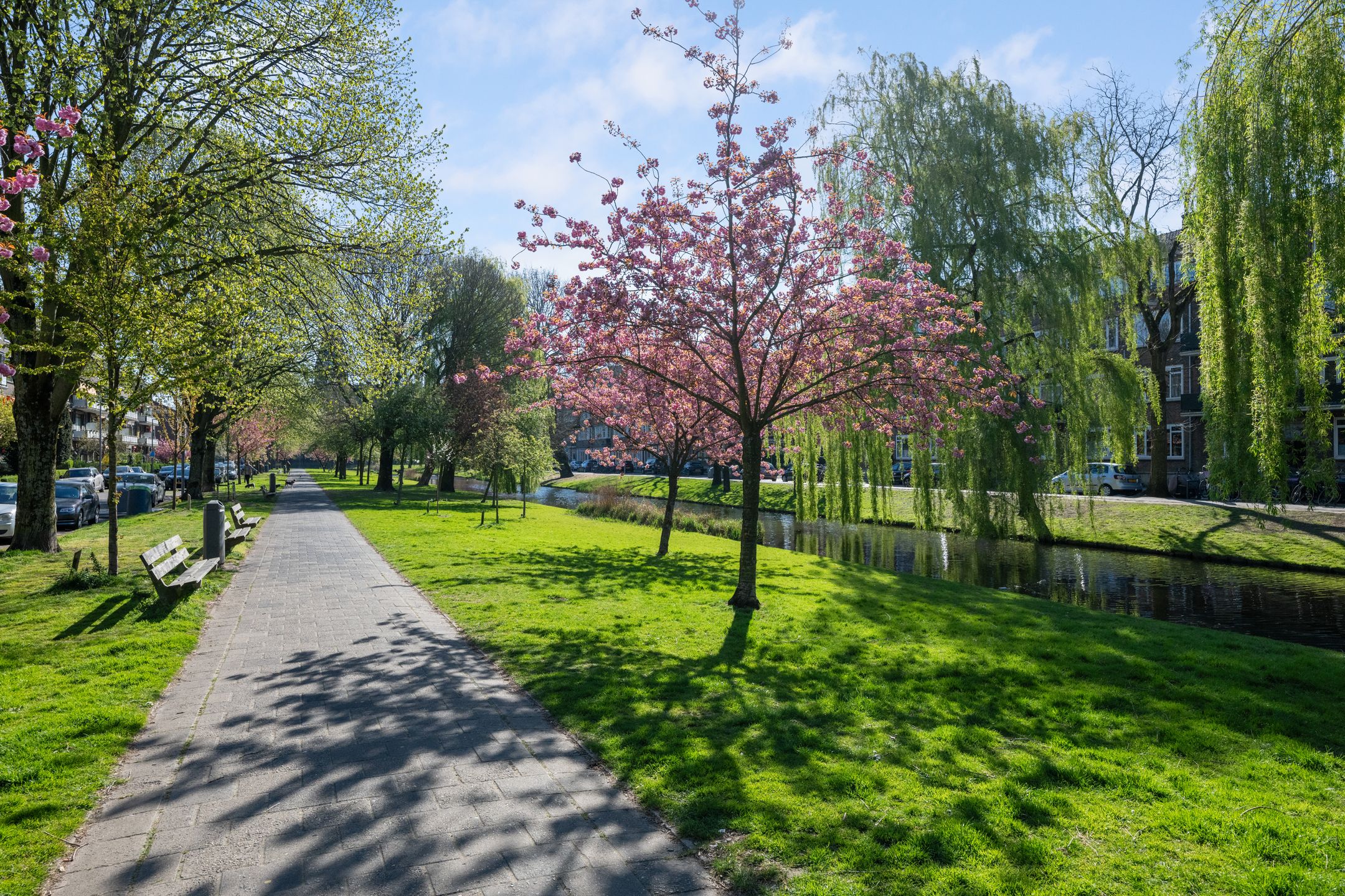 Foto 33 van Statensingel 64-A