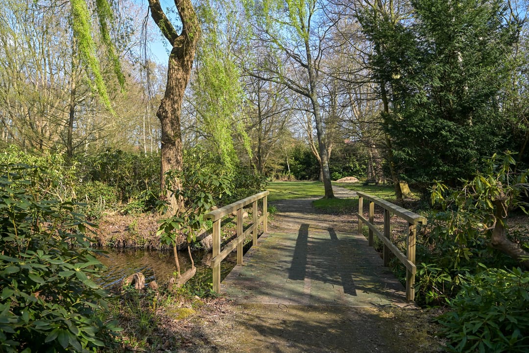 Foto 23 van Stoeplaan 11-F6