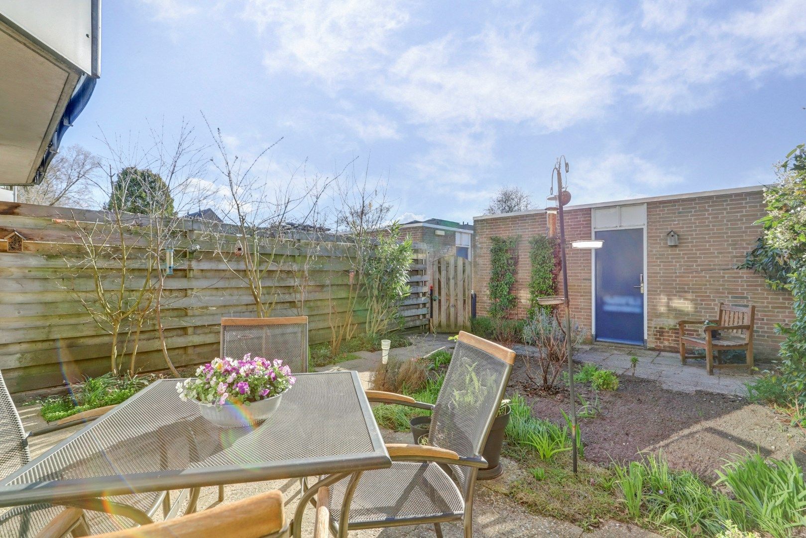 Foto 3 van Korenbloem 34