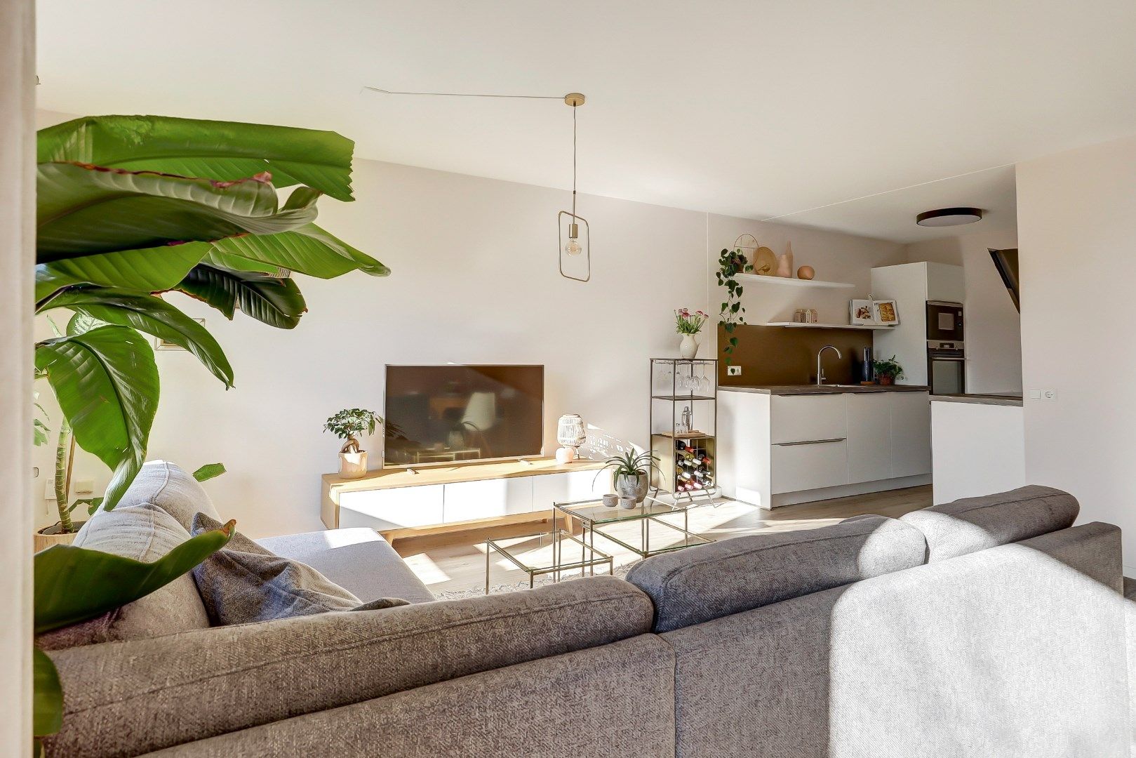 Foto 12 van Korenbloem 34