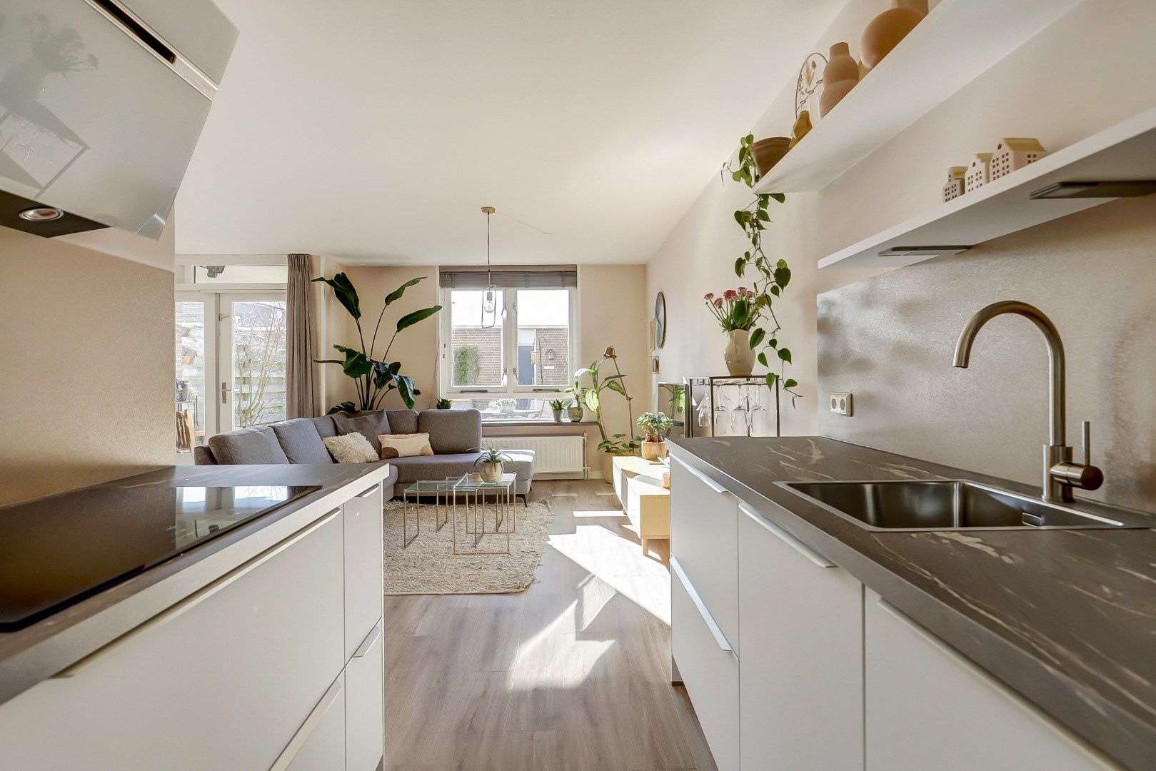 Foto 24 van Korenbloem 34