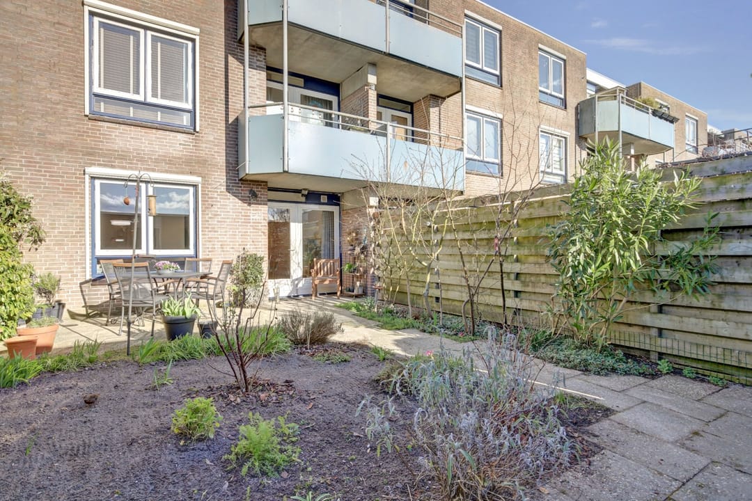 Foto 41 van Korenbloem 34