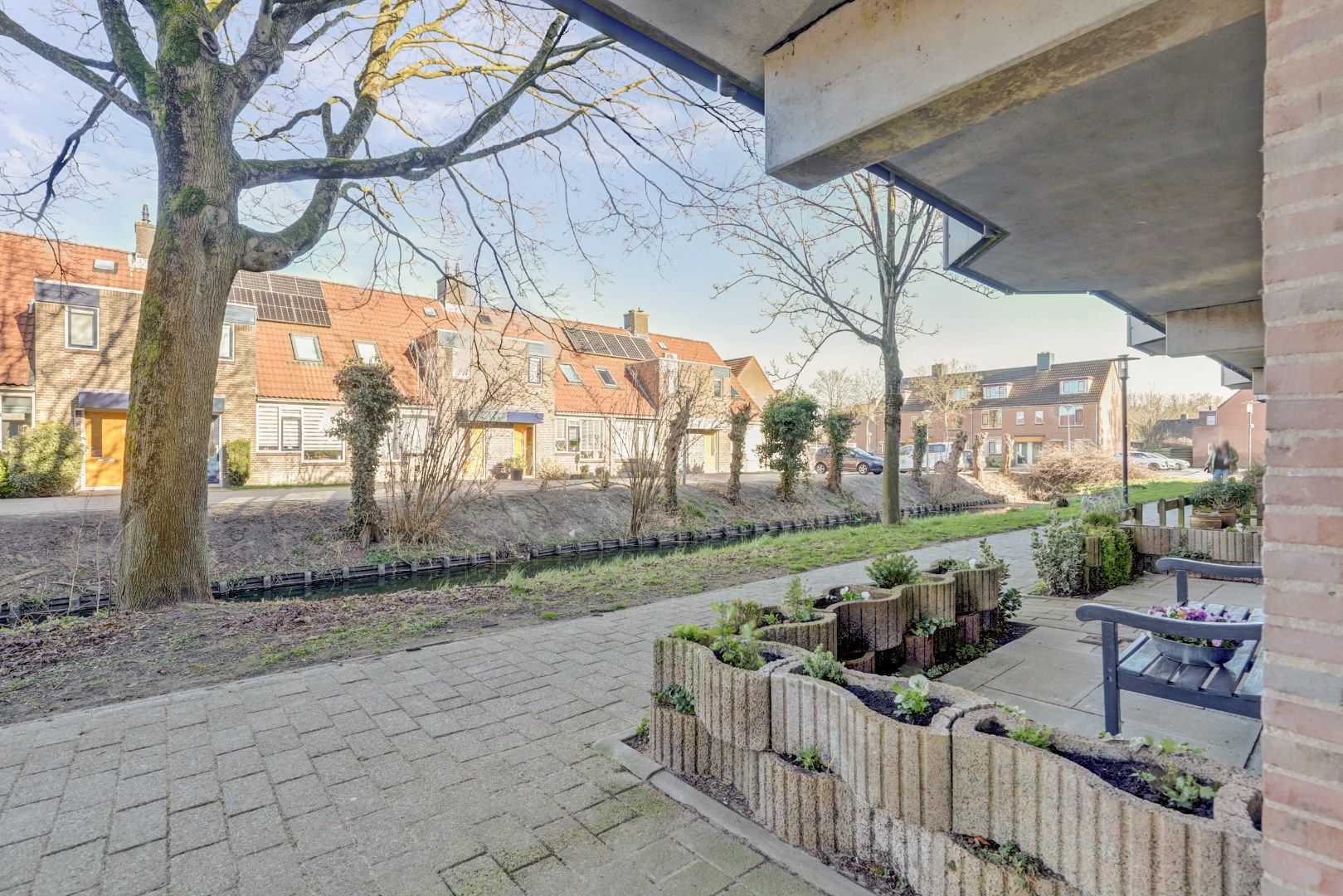 Foto 45 van Korenbloem 34