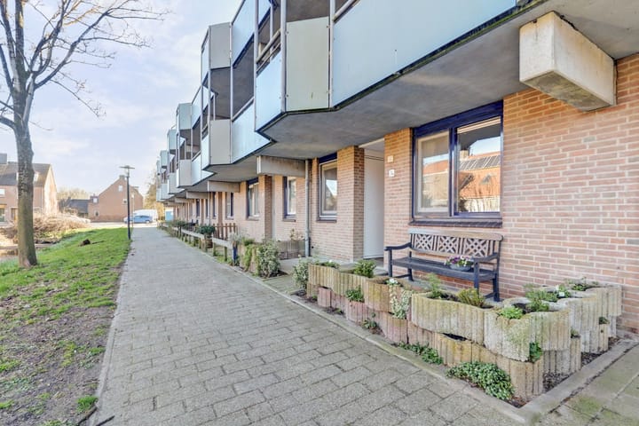 Foto 48 van Korenbloem 34