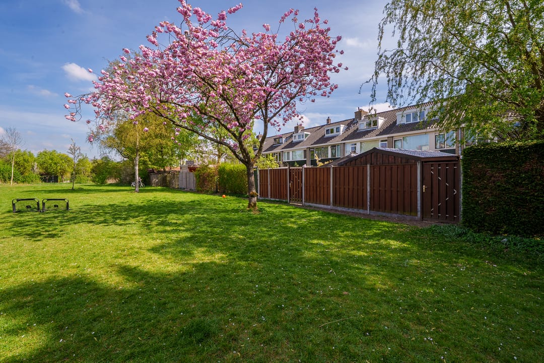 Foto 37 van Dalenoord 52