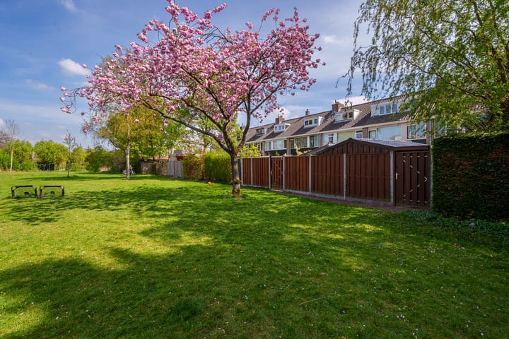 Foto 37 van Dalenoord 52