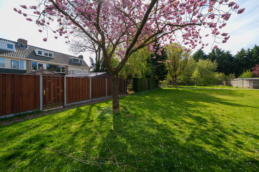 Foto 38 van Dalenoord 52