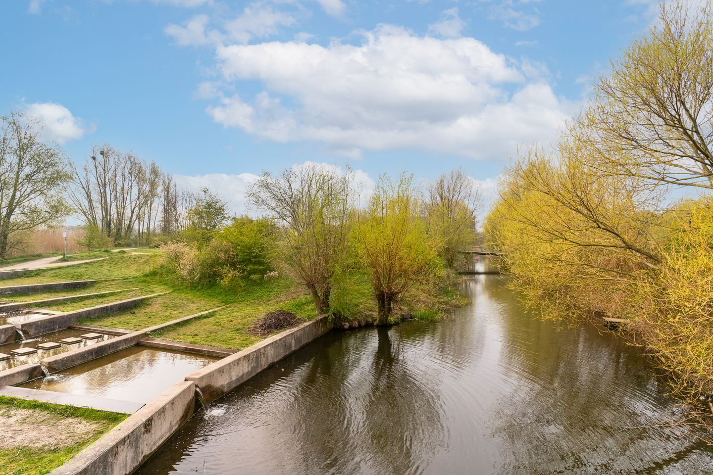 Photo 44 of Van der Mondestraat 149