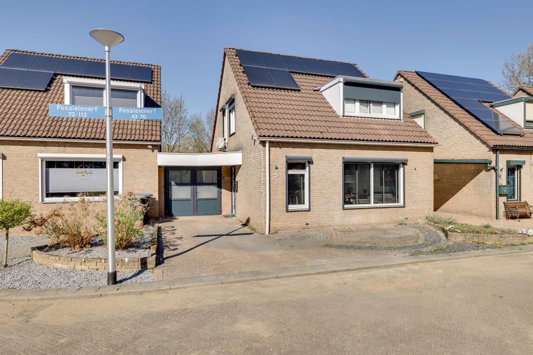 Foto 1 van Fossielenerf 70