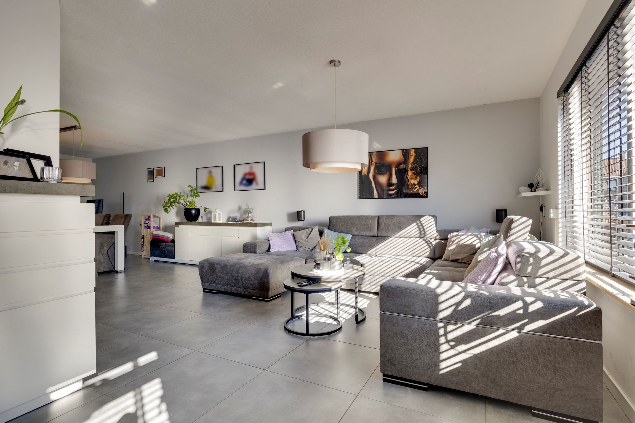 Foto 12 van Fossielenerf 70