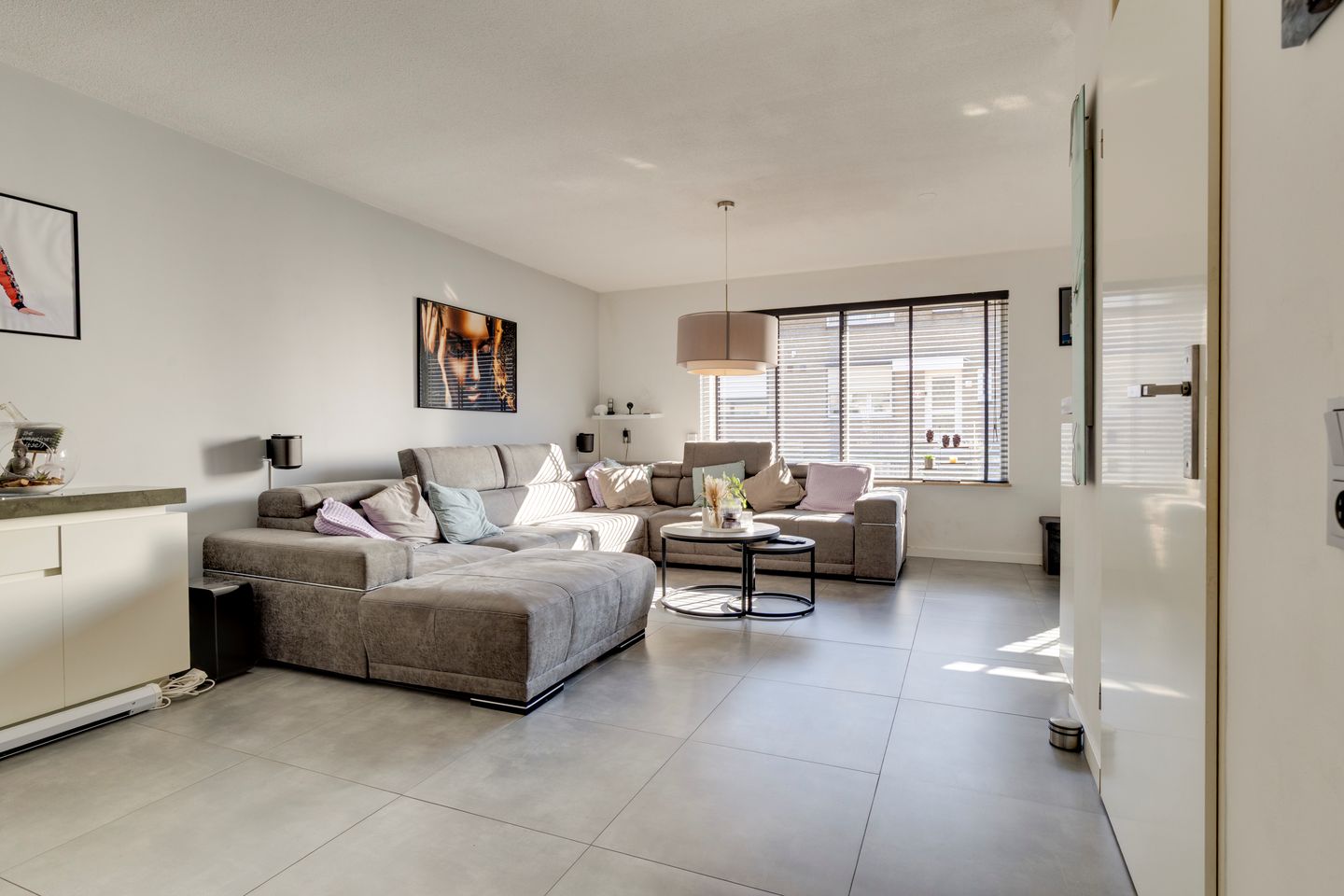 Foto 14 van Fossielenerf 70