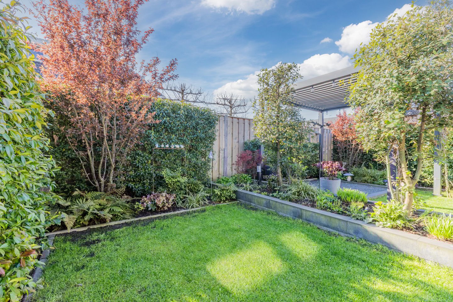 Foto 44 van Purperreiger 26