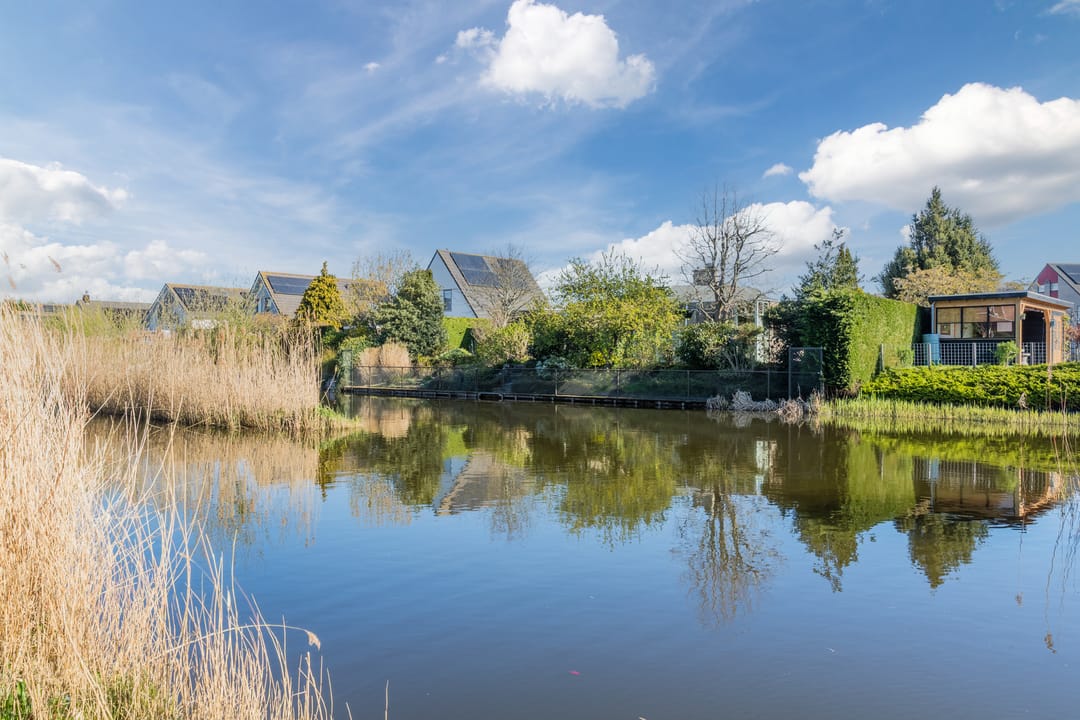 Foto 53 van Purperreiger 26