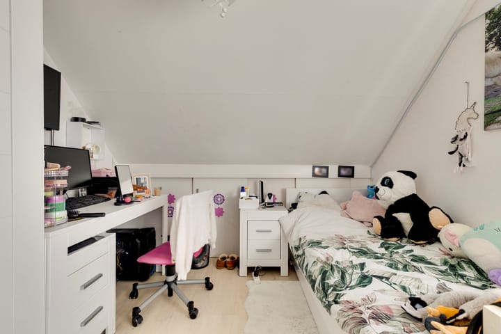 Foto 27 van Fossielenerf 70