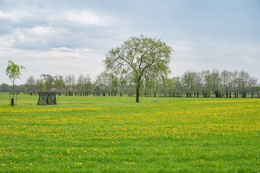 Foto 47 van Halle-Heideweg 24